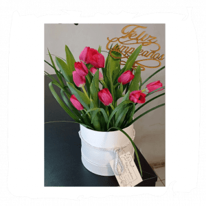 Box x 15 tulipanes