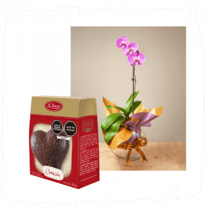 Pack Orquídea