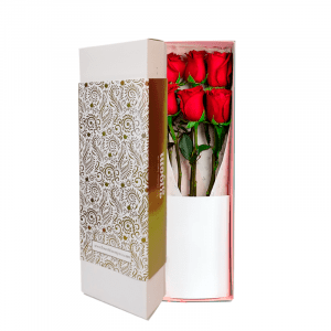 Caja x 6 Rosas Rojas