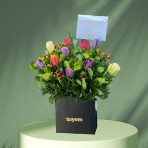 Box Fancy x10 tulipanes