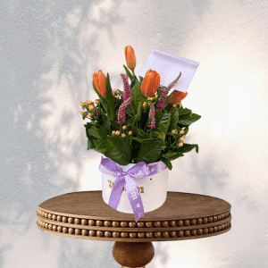 Mini box Tulipanes Fancy