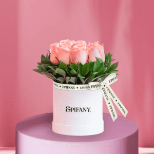 Box Rosas Alicia
