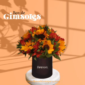 Box Girasoles Bloom