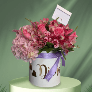Box Diana Lv