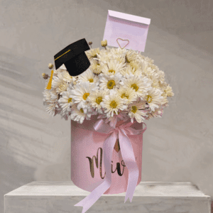 Box Mavy Graduación