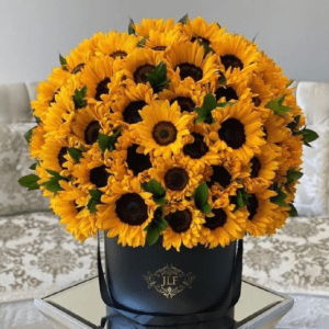BOX BESO DE GIRASOLES