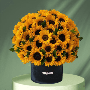 Box Gigante Girasol