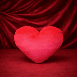Peluche en forma de corazón