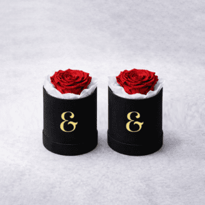 Box de 1 Rosa Eterna