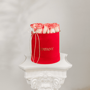 Box de terciopelo premium Love