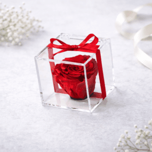 Rosa Eterna LookLove